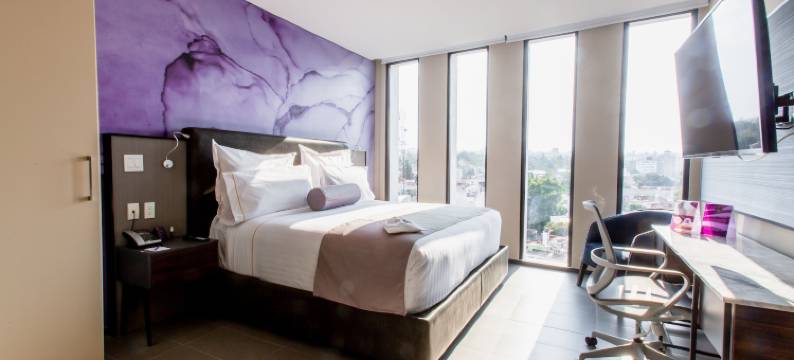 墨西哥城康德萨南 HS Hotsson(HS Hotsson Cdmx Condesa Sur)图片