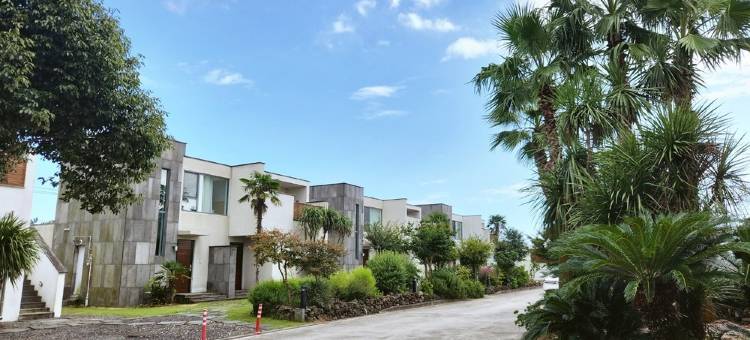 西归浦Smart泳池别墅(Seogwipo Smart Pool Villa)图片