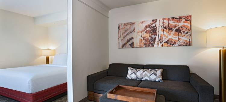 欧文达拉斯DFW国际机场东/拉斯科利纳斯SpringHill Suites酒店(SpringHill Suites Dallas DFW Airport East/Las Colinas Irving)图片