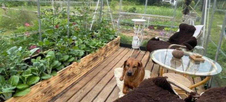 Værelser I Historisk Hus Med sjæl og atmosfære图片