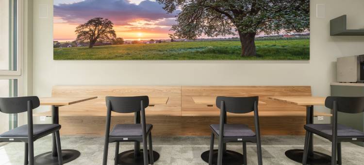 bsmart汽车旅馆阿姆里斯维尔(B_Smart Motel Amriswil)图片