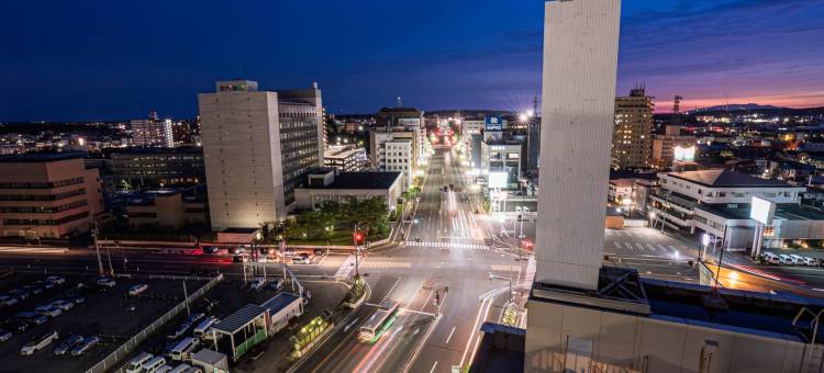 秋田阿尔法酒店(Hotel Alpha Inn Akita)图片