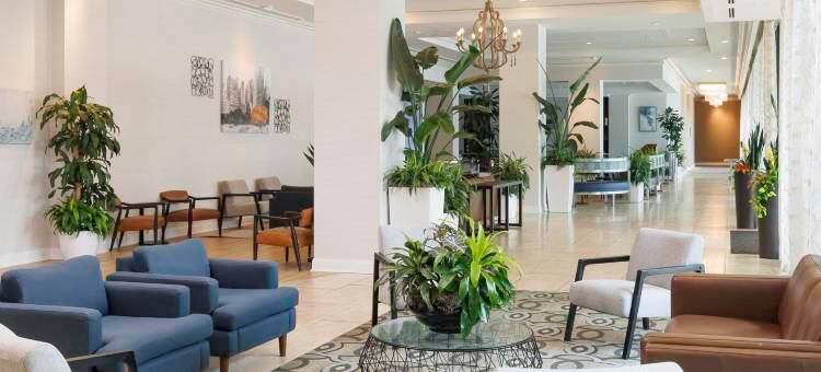 格林维尔希尔顿酒店(Hilton Greenville)图片