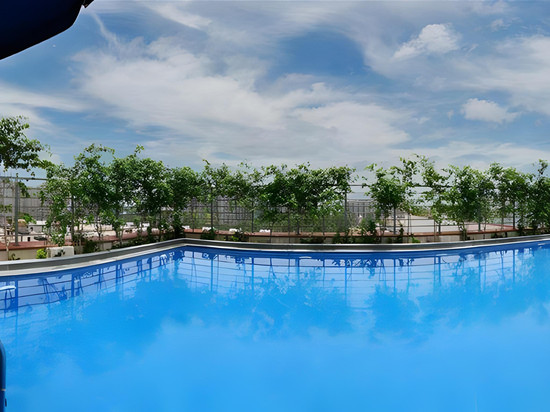 新德里梅尔东柠檬树酒店