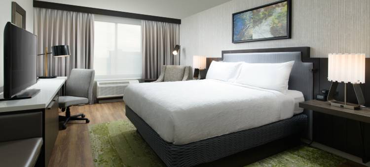 田纳西孟菲斯市区比尔街希尔顿花园酒店(Hilton Garden Inn Memphis Downtown Beale Street)图片