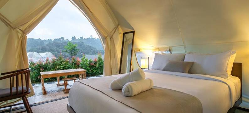 禅由斯特拉管理(Zen by Stellar Cameron)图片