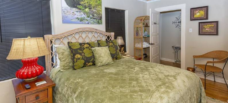 2 bedroom downstairs The Henry House and Queen pull out sofa图片