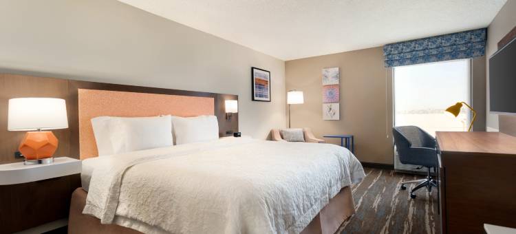 欢朋旅馆-凤凰城钱德勒(Hampton Inn Phoenix/Chandler)图片