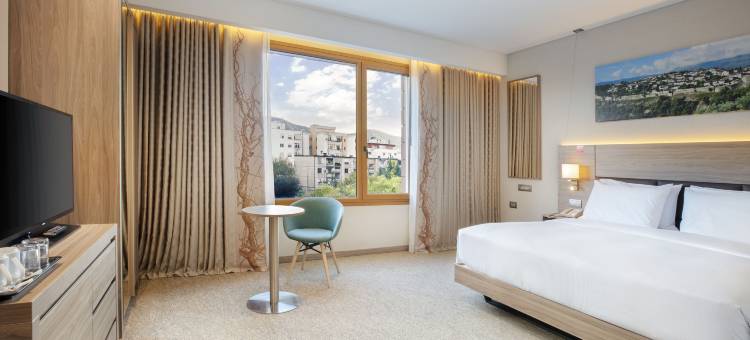 阿尔巴尼亚地拉那希尔顿花园酒店(Hilton Garden Inn Tirana)图片