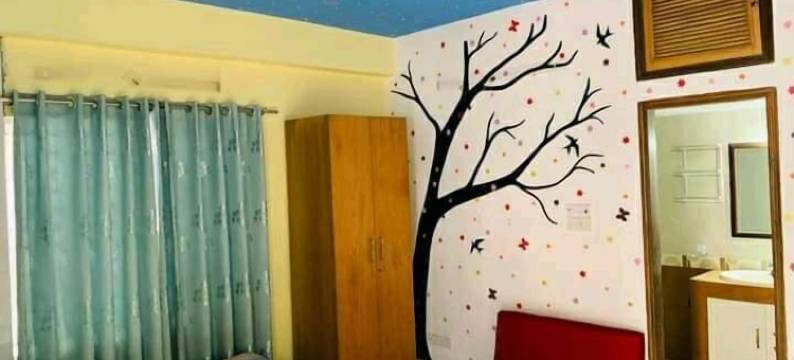 绿色之家(Green House)图片