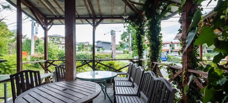 鲁比纳斯河口湖(Lupinus Kawaguchiko)图片