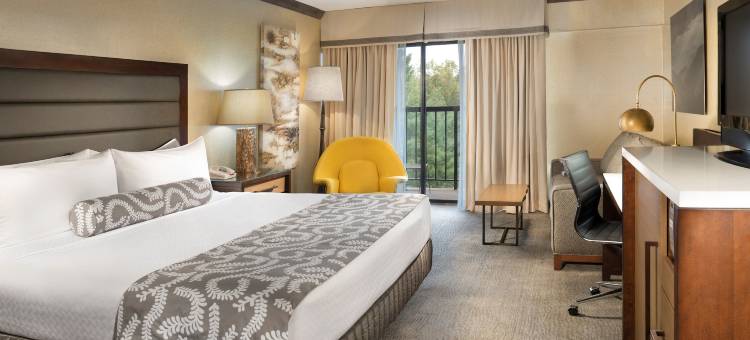 Crowne Plaza Resort 阿什维尔(Crowne Plaza Resort Asheville)图片