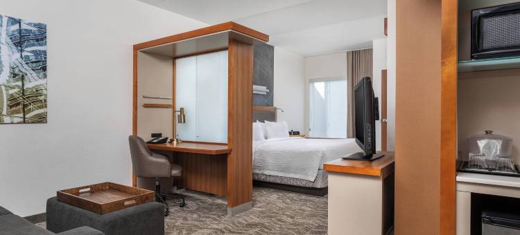 查塔努加市中心/卡梅隆港万豪SpringHill酒店(SpringHill Suites Chattanooga Downtown/Cameron Harbor)图片