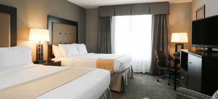 Holiday Inn & Suites 东皮奥里亚(Holiday Inn & Suites East Peoria)图片