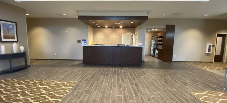 米德兰西舒适套房酒店(Comfort Suites Midland West)图片