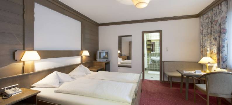 金狮酒店(Hotel Goldener Löwe)图片