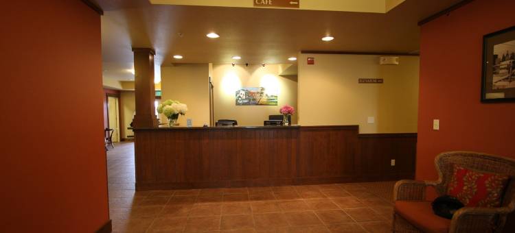 家园度假村酒店(Homestead Resort)图片