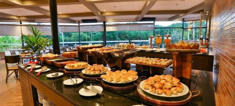 里贝朗普雷托马蒂兹维拉博伊姆酒店(Matiz Vilaboim Ribeirão Preto)图片