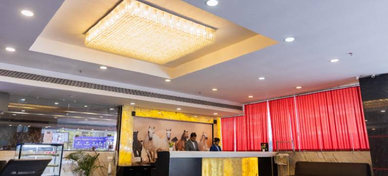 阿奇勒克瑙酒店(Hotel di Arch Lucknow)图片