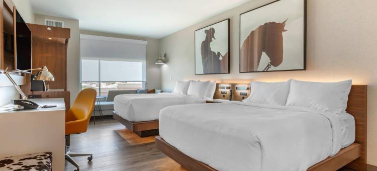 达拉斯理查森坎布里亚酒店(Cambria Hotel Richardson - Dallas)图片