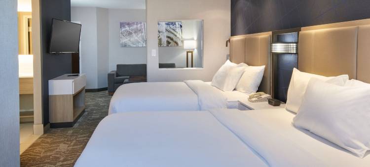 底特律南菲尔德万豪SpringHill酒店(SpringHill Suites Detroit Southfield)图片