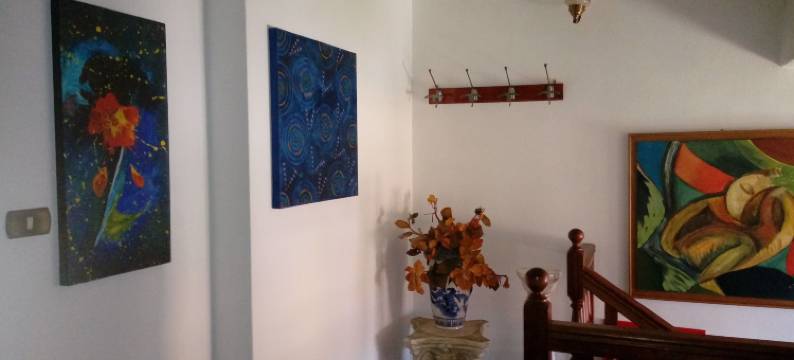 科利亚斯别墅(Villa Corrias)图片