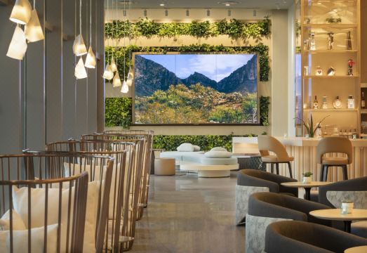 The Westin Tempe Hotel Overview