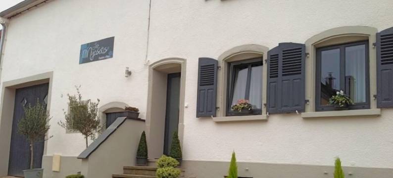 萨尔格米纳勿忘我民宿(Les Myosotis Chambres d'hôtes - Sarreguemines)图片