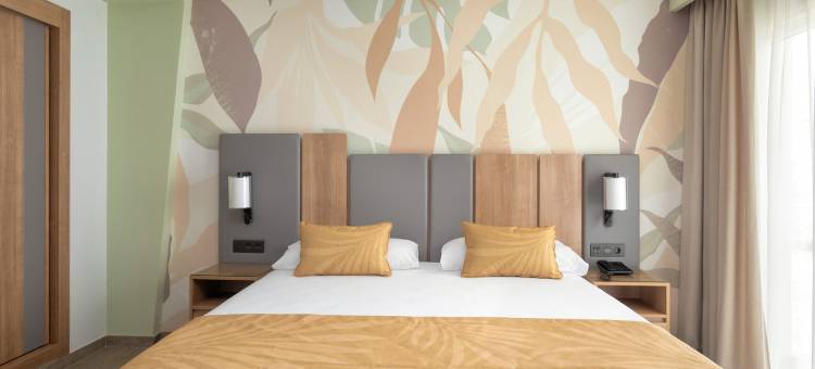 Riu马斯帕洛马斯宫酒店-限成人(Hotel Riu Palace Maspalomas - Adults Only)图片