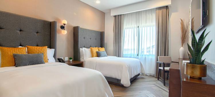 Bellafer精品酒店及度假村(Bellafer Collection Hotel & Resort)图片