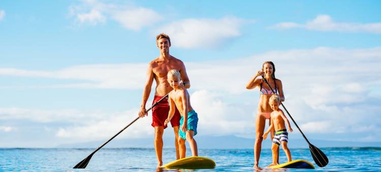 黑海胆(Black Urchin)图片