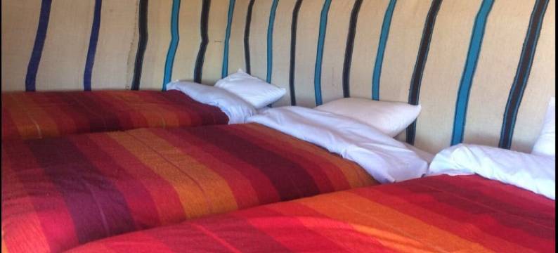 沙之歌酒店(Mhamid Sahara Camp Activities - le Chant du Sable)图片