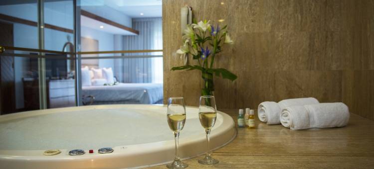 爱尔欧里瓦索尼斯塔酒店(Sonesta Hotel El Olivar Lima)图片