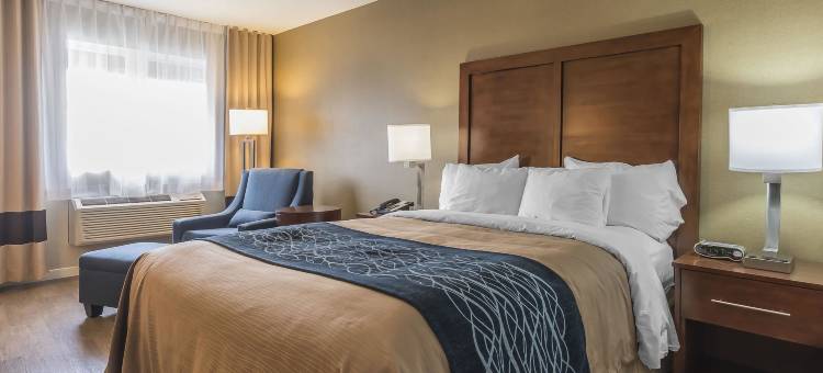 圣乔治舒适酒店(Comfort Inn)图片