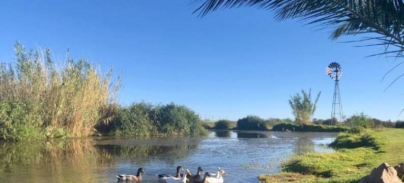 博尔格斯多尔夫农场旅馆(Burgsdorf Guest Farm)图片