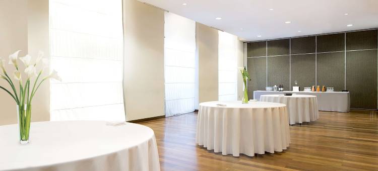 NH科迪勒拉酒店(NH Mendoza Cordillera)图片