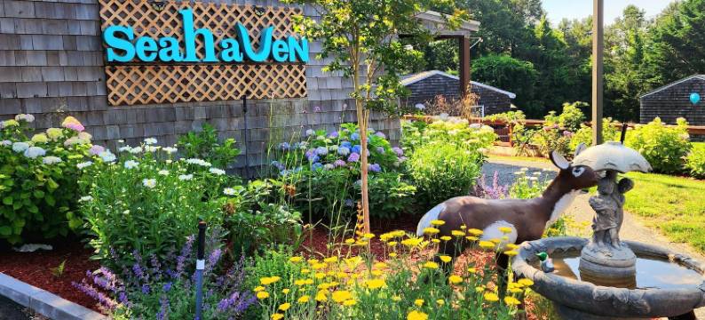 大海天堂度假汽车旅馆(Sea Haven Resort Motel)图片