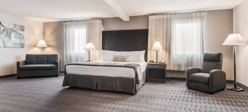 底特律地铁机场美国套房酒店(American Inn & Suites Romulus DTW)图片