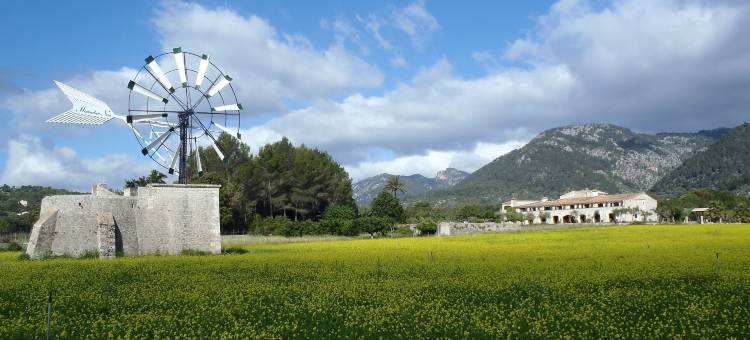 蒙娜波诺大酒店(Monnaber NOU Finca Hotel & Spa)图片