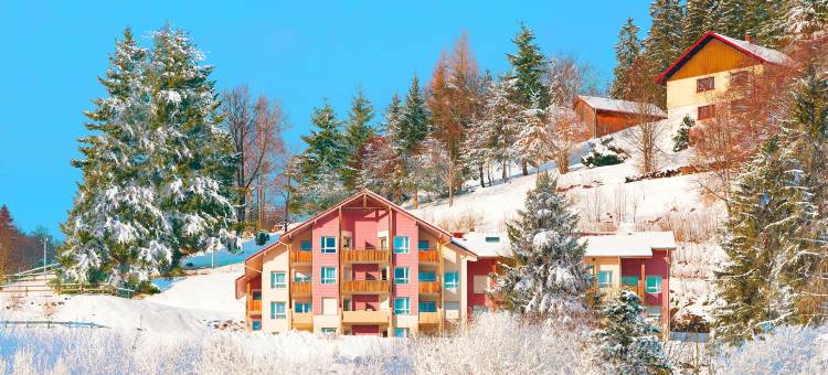 比桑爱瑞瓦度假酒店(Azureva Bussang)图片