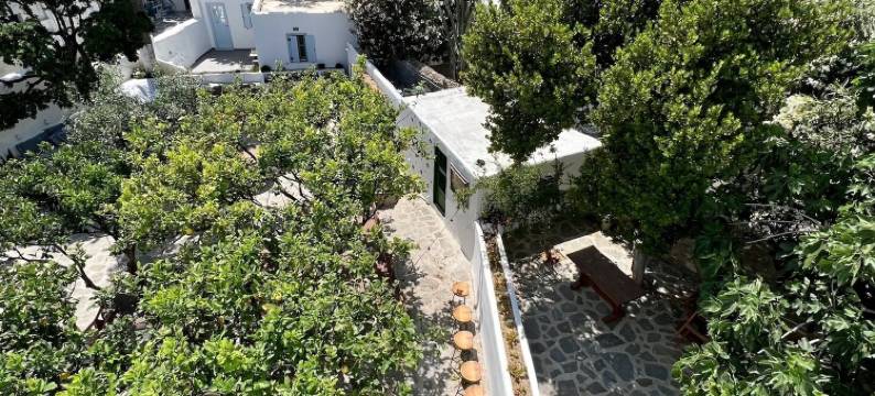 玛朵齐雅妮酒店(Matogianni Hotel)图片