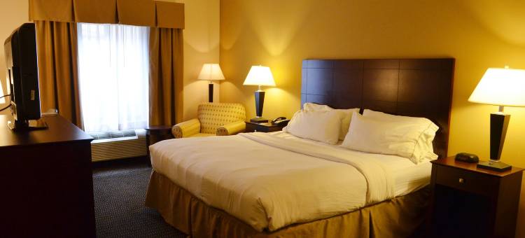 智选假日套房酒店悉尼(Holiday Inn Express & Suites Sidney)图片