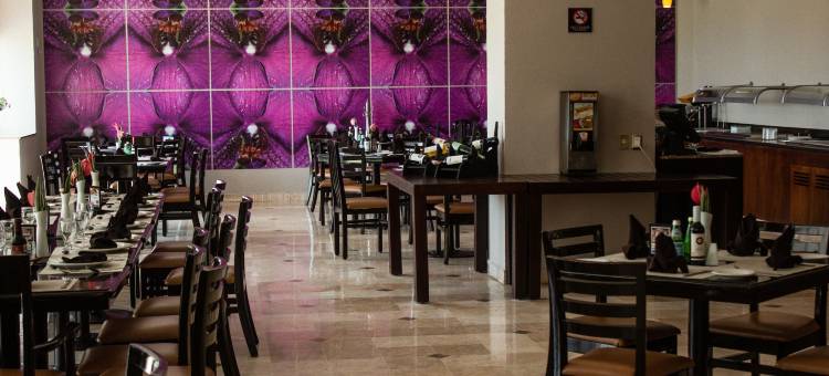 希尔顿花园酒店-博卡德尔里奥(Hilton Garden Inn Boca del Rio, Veracruz)图片