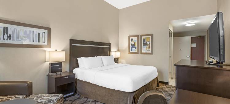 多伦多机场旅行贝斯特韦斯特优质酒店(Best Western Plus Travel Hotel Toronto Airport)图片