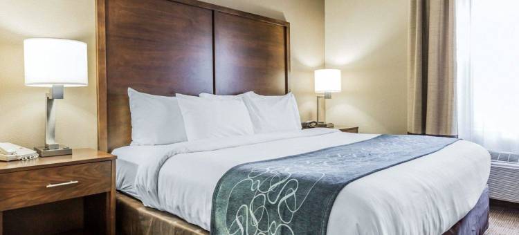 棕榈岛科耐特舒适套房酒店(Comfort Suites at Isle of Palms Connector)图片
