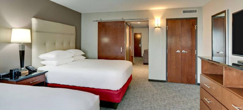 圣保罗市中心德鲁里广场酒店(Drury Plaza Hotel St. Paul Downtown)图片