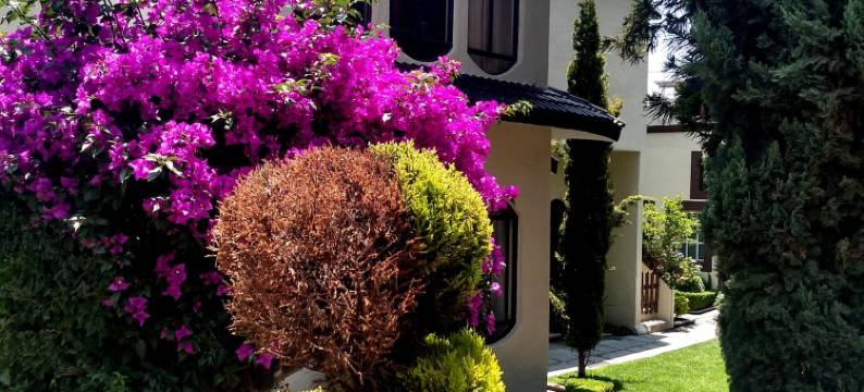 阿尔伯蒂纳精品酒店(Hotel Boutique la Albertina)图片