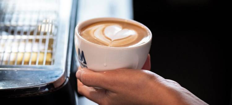 冯德尔公园意识酒店(Conscious Hotel Vondelpark)图片