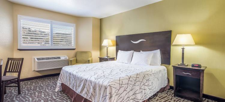 太平洋漂流旧金山帕西菲卡(PACIFIC DRIFT San Francisco Pacifica)图片