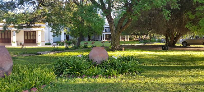 奥利弗旅馆(Posada del Olivo)图片